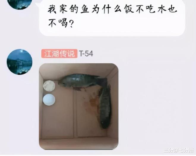 VR彩票“女老师上课期间忘记关投影仪搜索记录被公开…”啊哈哈哈哈哈太尴尬了！(图8)