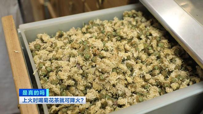 VR彩票上火就喝菊花茶？种类选不对身体反“遭罪”！你可能一直都喝错了→(图5)