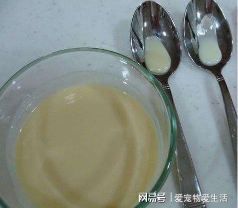 VR彩票手把手教你熬炼乳记住这个黄金比例保证做出来鲜香美味又好吃(图3)