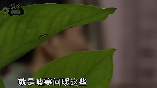 男子贷款为主播女友刷礼物背后竟是VR彩票男人男子：还我面包爱情(图9)