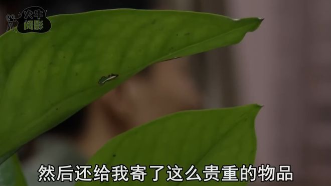 男子贷款为主播女友刷礼物背后竟是VR彩票男人男子：还我面包爱情(图10)