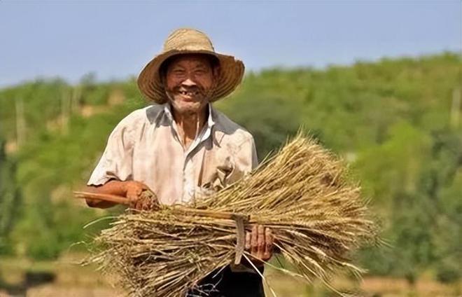 为啥过去的老人经常吃白粥、咸菜却很少患癌？原因你很难反驳VR彩票(图5)