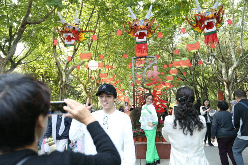 重阳节来颛桥逛逛“糕会”沪上举行重阳民俗文化系列活动VR彩票(图3)