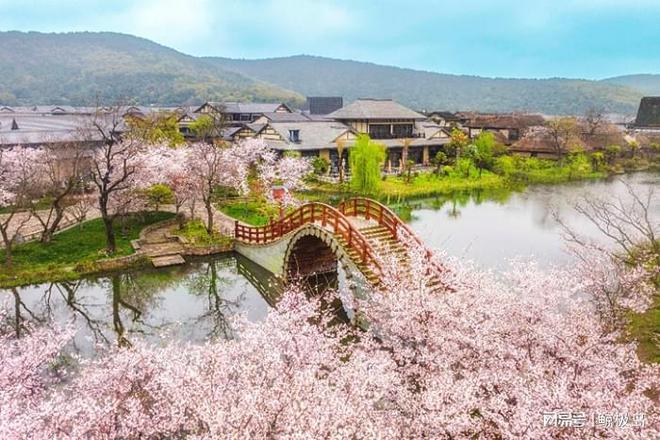 拈花湾花朝节：许你满城花开共赴一场春日盛宴VR彩票