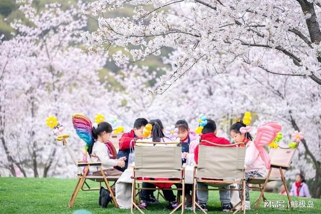 拈花湾花朝节：许你满城花开共赴一场春日盛宴VR彩票(图4)