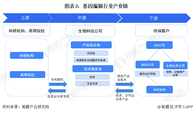 科学家破译单粒小麦DNA推出更有弹性、营养丰富VR彩票的面包品种【附基因编辑技术赛道观察图谱】(图2)