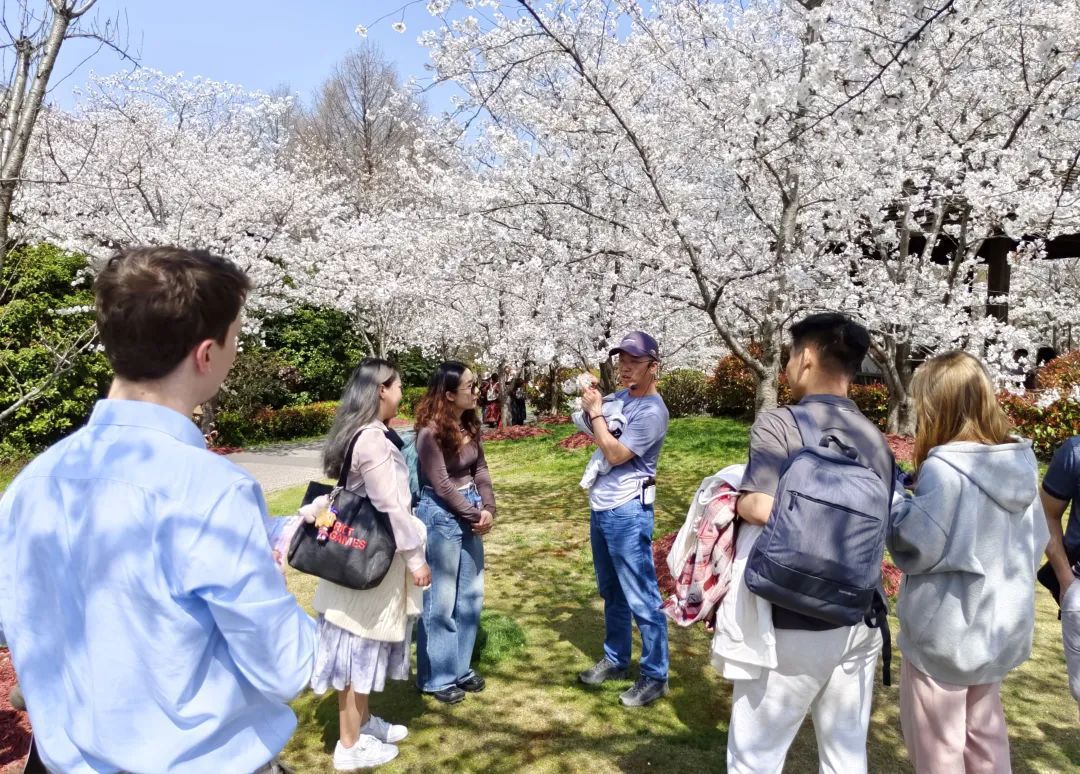 带着VR彩票糖人漫步花海外籍员工感受宝山春日的美好(图2)