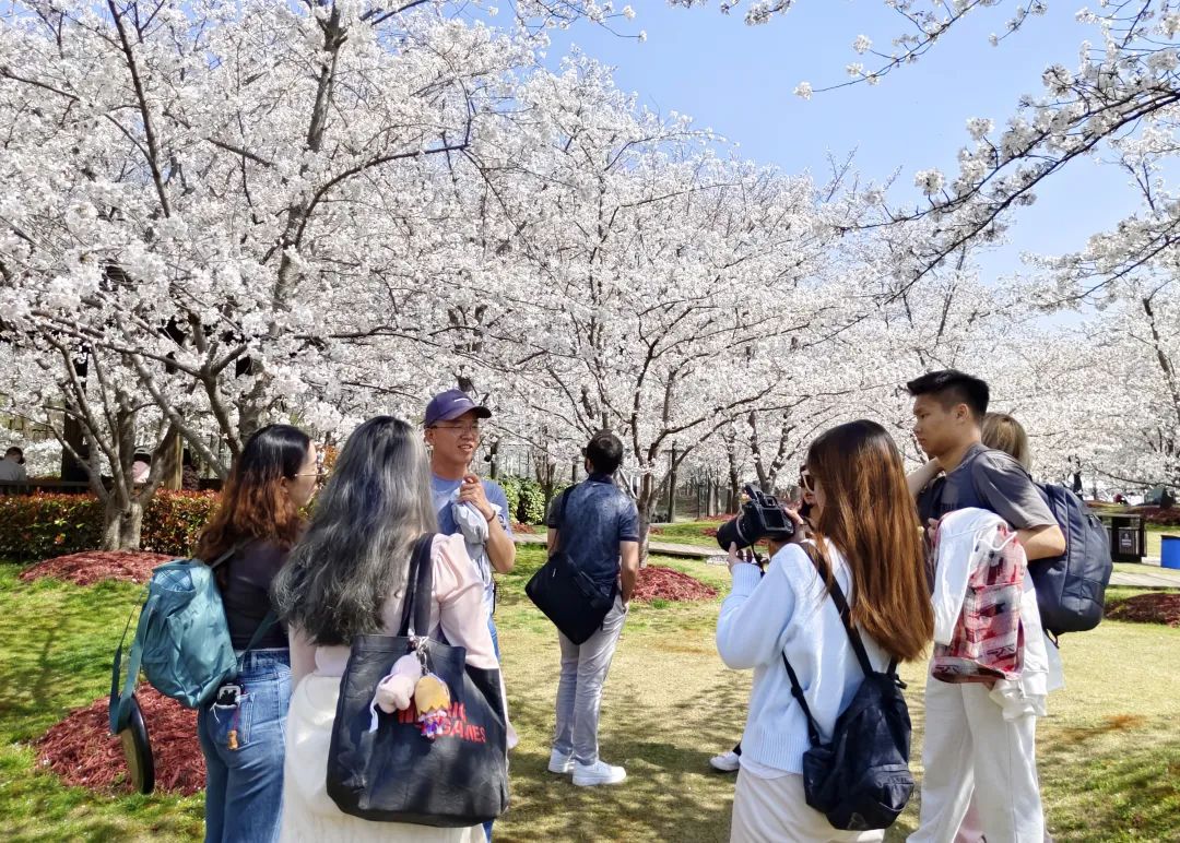 带着VR彩票糖人漫步花海外籍员工感受宝山春日的美好(图5)