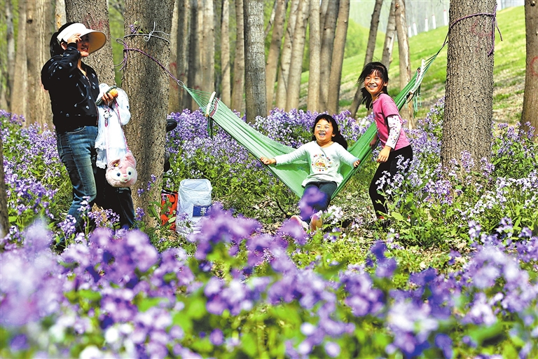 VR彩票清明探消费：春风十里繁花浓(图3)